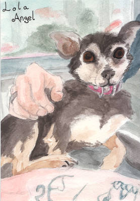 Watercolour pet commission painting 1/3