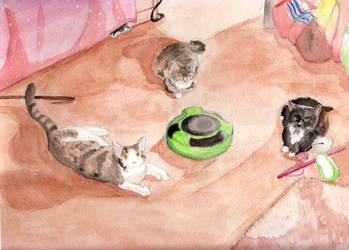 Watercolour pet commission painting 2/3