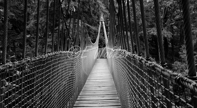 Rope Bridge