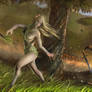 Beauty of the forest