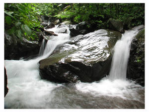 benowo creek