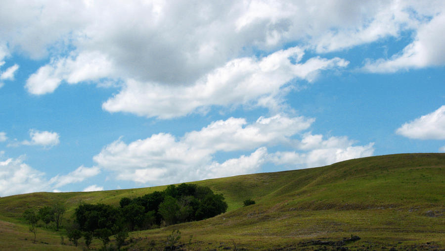 mananga savannah