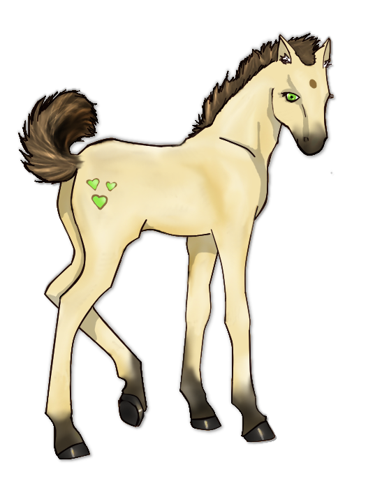 Buckskin Foal -Closed- Kimorah