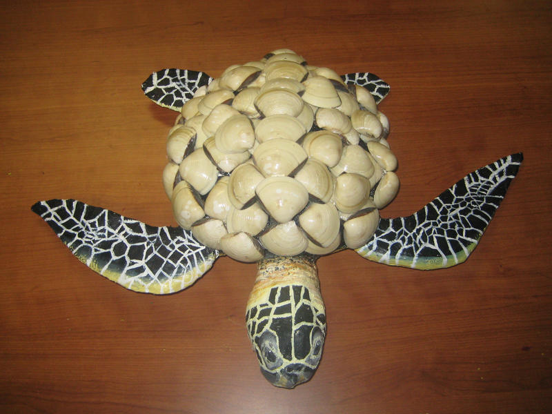 Deviantart Softshell Turtle Sea Shell Turtle view 2 by Wasabiyen on DeviantArt
