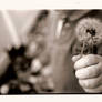 Wishing