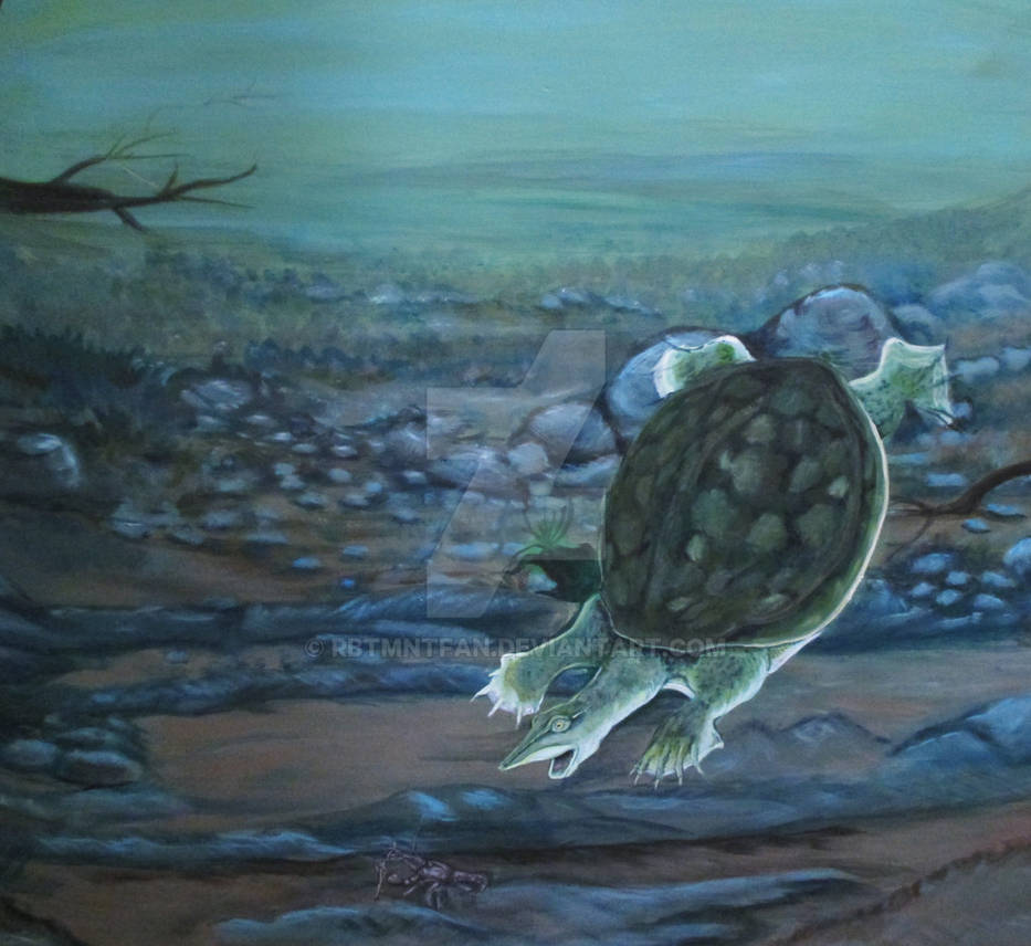 Deviantart Softshell Turtle Spiney softshell turtle by RBTMNTFan on DeviantArt