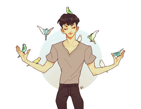 birds