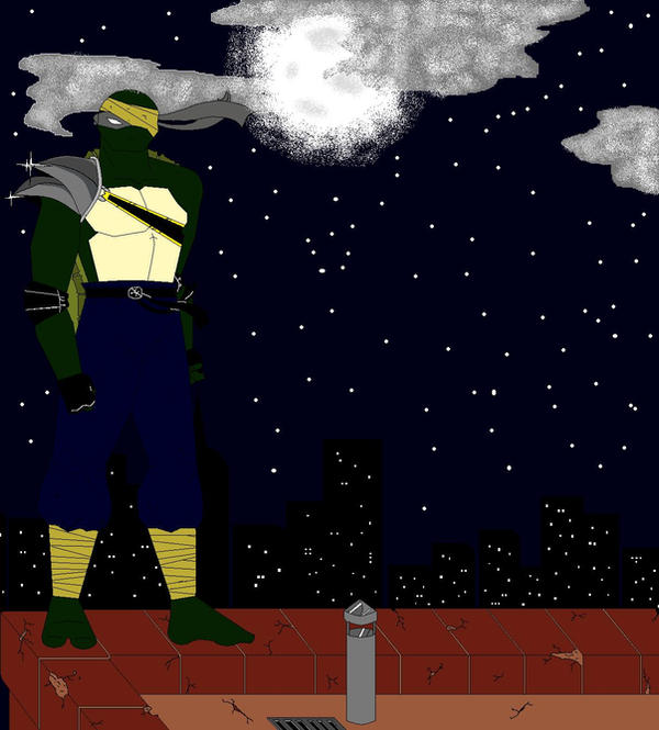 TMNT OC by StarXurs on DeviantArt