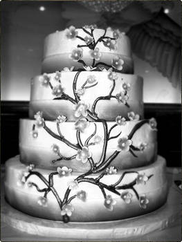 The Wedding Cake