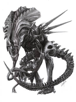 The Alien Queen
