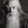 Gandalf the Grey