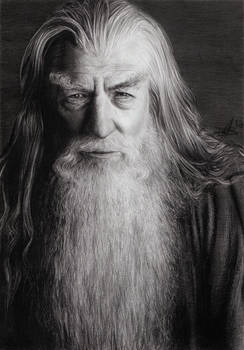 Gandalf the Grey