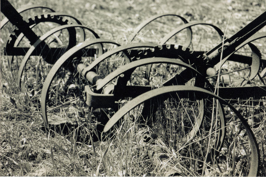 Rake by torusdane on DeviantArt