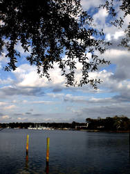 my photograph, - by the dock.