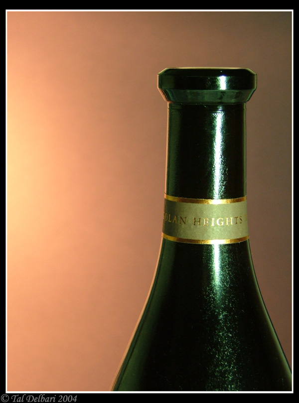 Wine Bottle