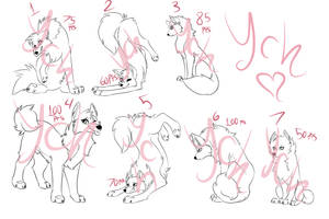 cheap points canine ych reminder - 3 LEFT!