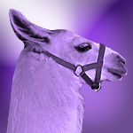 Purple LLama Graphic or Icon FTU