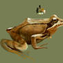Frog Study