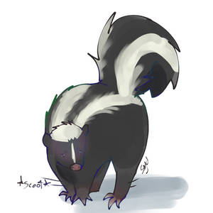 Scooting skunk 