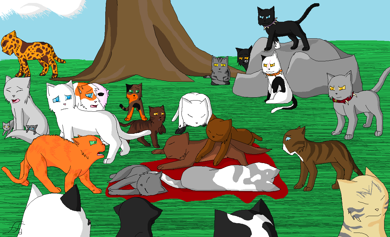 Warrior cats игры