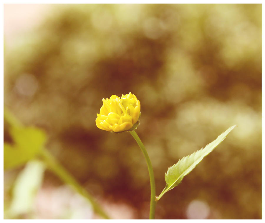Good Morning Cutie By Amy Heartbreak On Deviantart