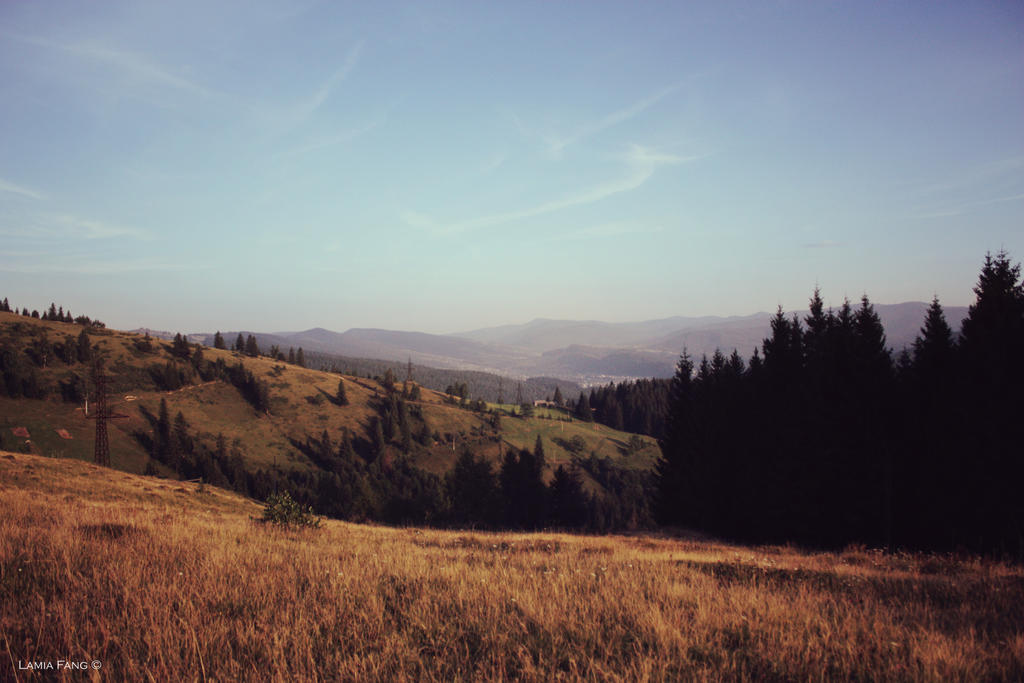 Carpathians, 2009