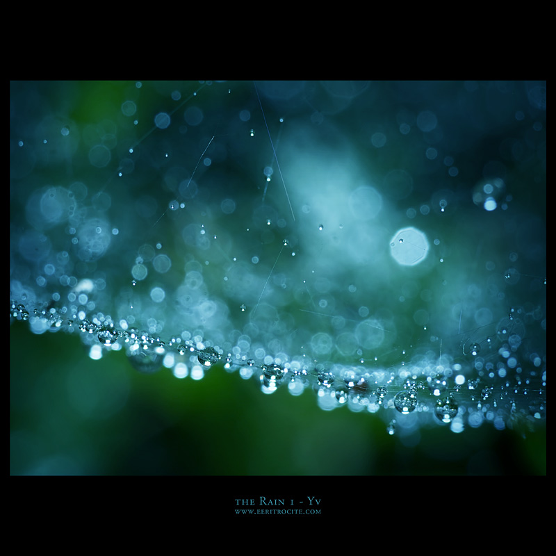 the Rain 1 by yv