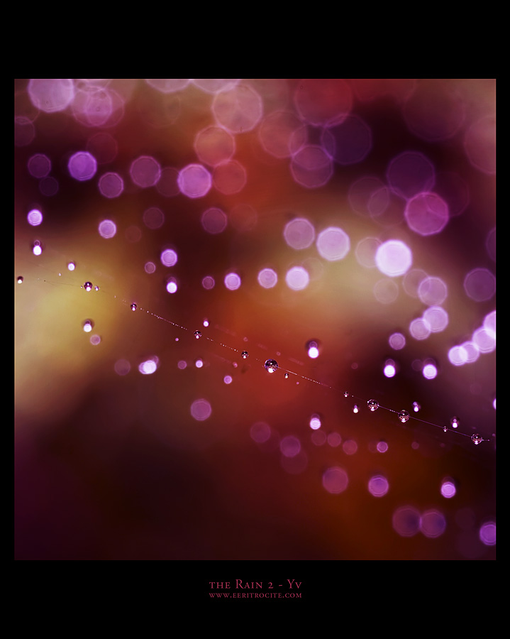 the Rain 2 by yv