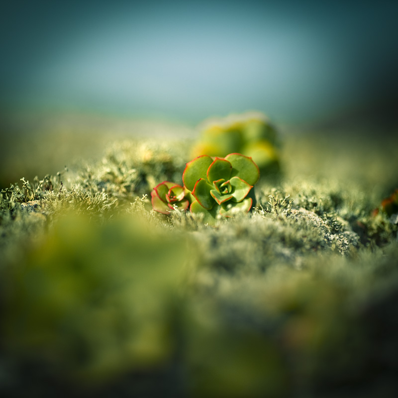 Masdache 1 - Together by yv