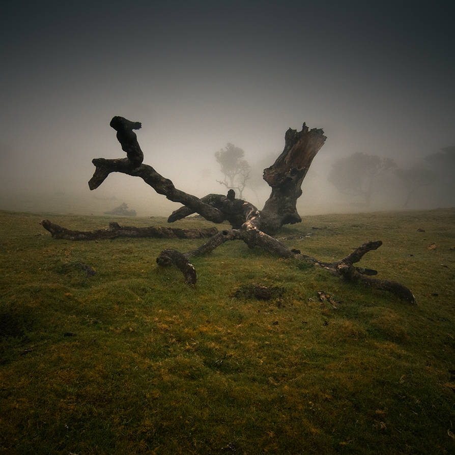defeat by yv