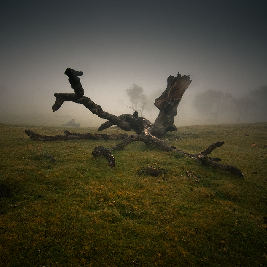 defeat by yv