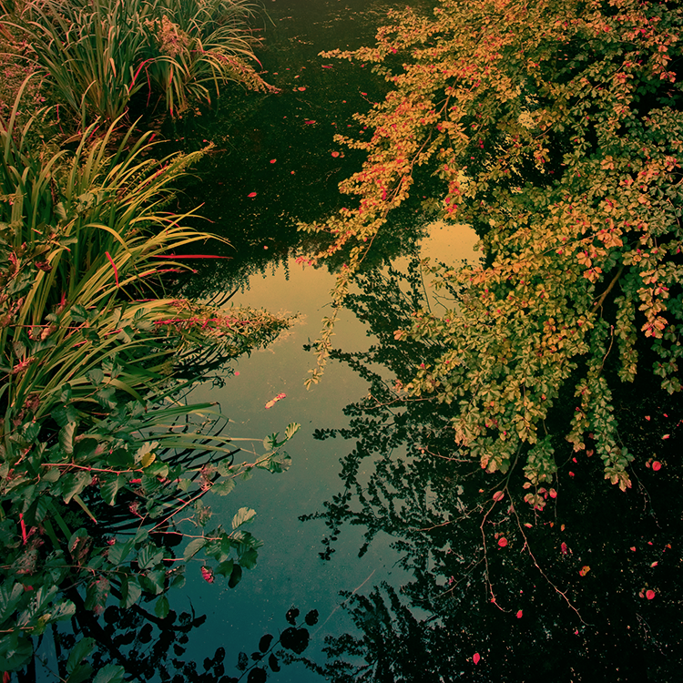 Gifts for the Water by yv