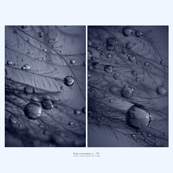 sob universe 3 by yv