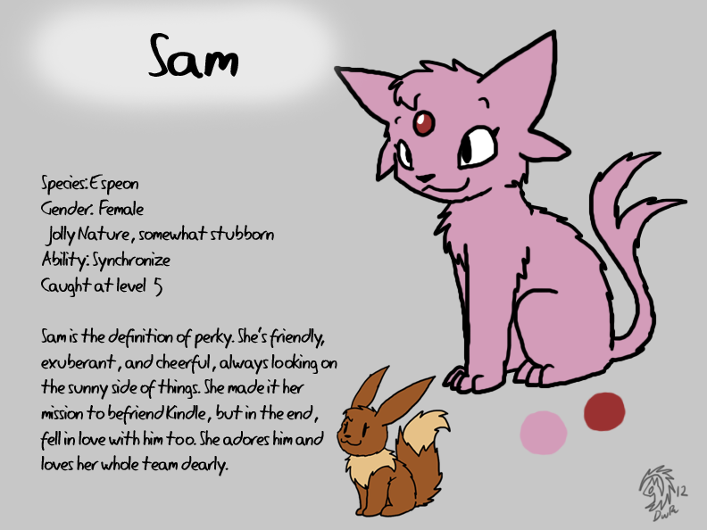 Sam Reference Sheet