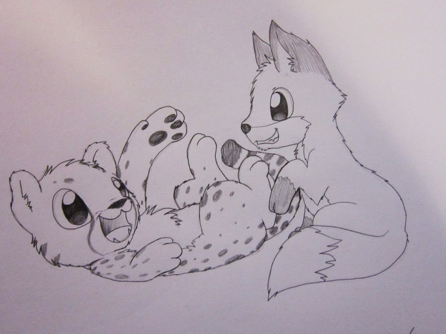 Fox and Cheetah