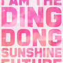 I Am The Ding Dong Sunshine Future