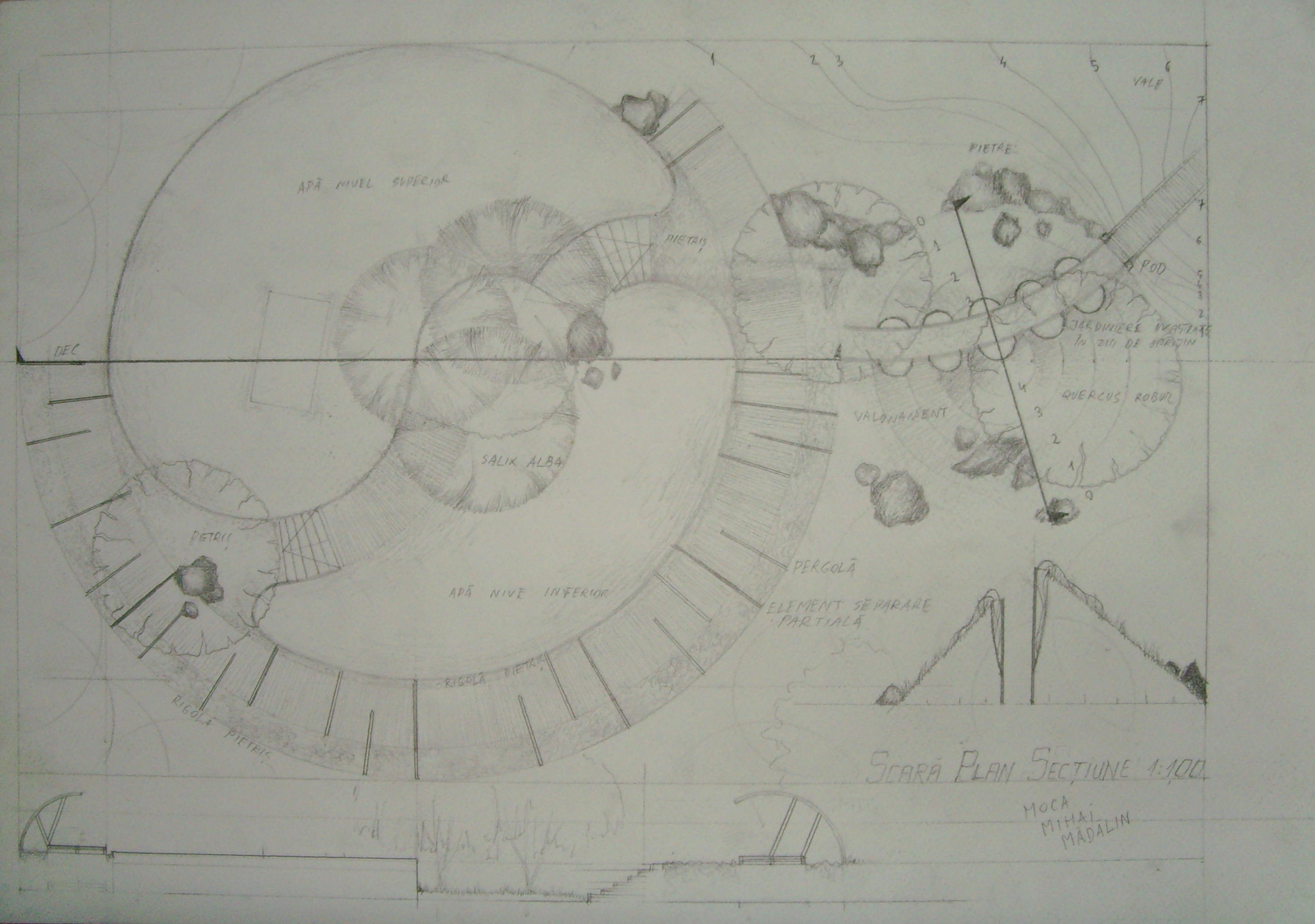 Garden plan