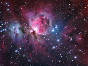 The Orion Nebula Region