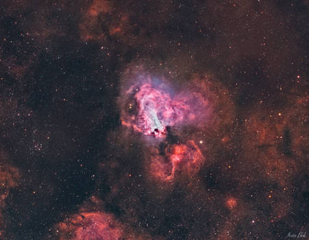 The Swan Nebula in Sagittarius