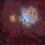 Orion Nebula Widefield (Narrowband)