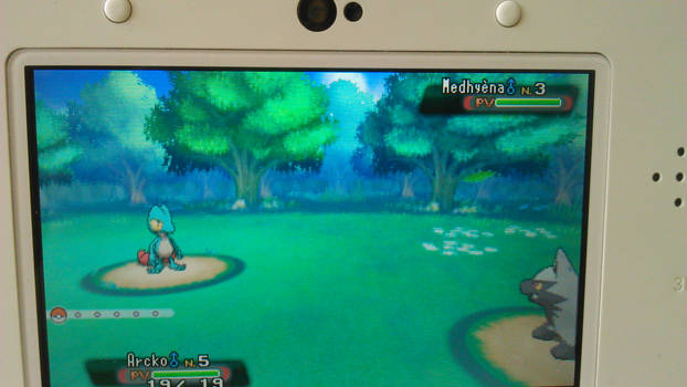 SHINY TREECKO AFTER 1069 SOFT RESET !