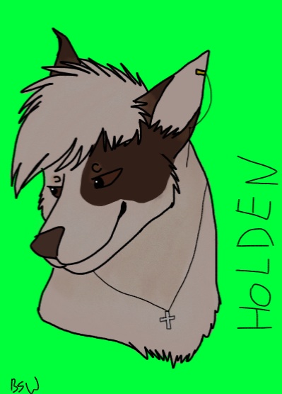 Holden headshot