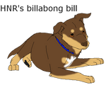 HNR's billabong bill by IcyMountainKennels