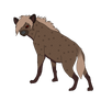 Hyena Import