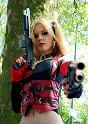 Harley Quinn - Arkham City (Dokomi 2013)