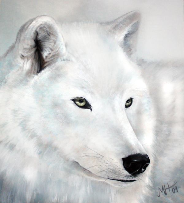 White Wolf by MonsterMarika on DeviantArt