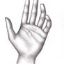 Hand 01