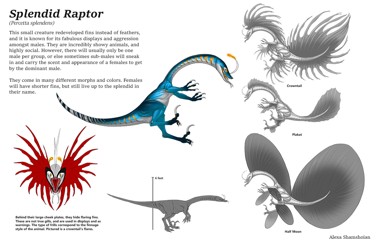 Sapient Raptor Splendid Raptor Sheet by Tikall on DeviantArt