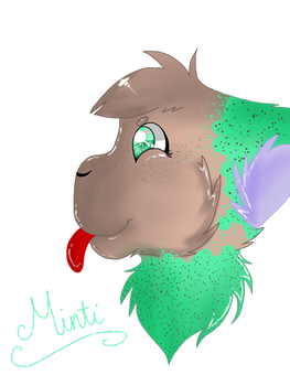 Head Commission .:Minti:.