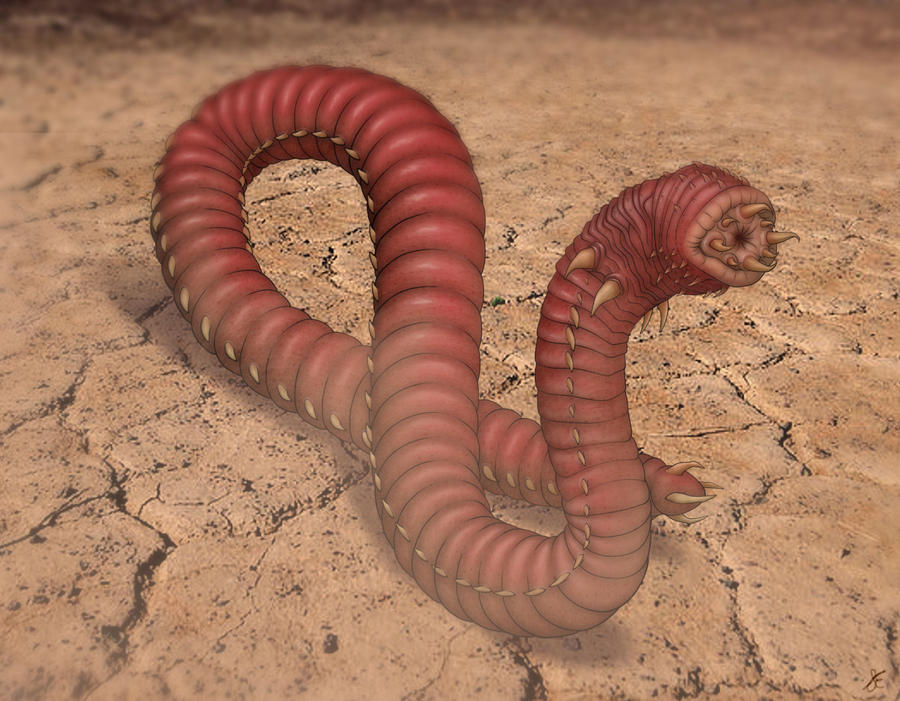 mongolian Deathworm